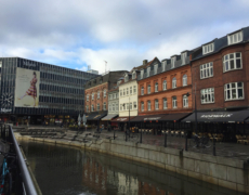 Se nærmere på de 12 kandidater.